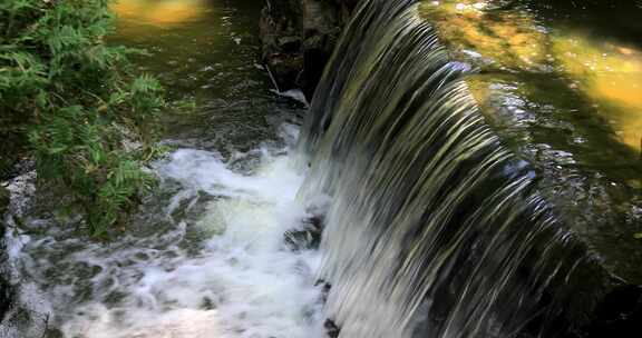 山林森林阳光溪水 流水宁静氛围特写