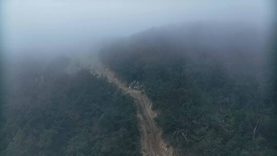 【正版素材】山中道路