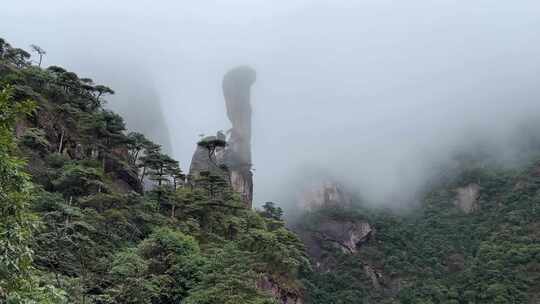 江西三清山神驼峰