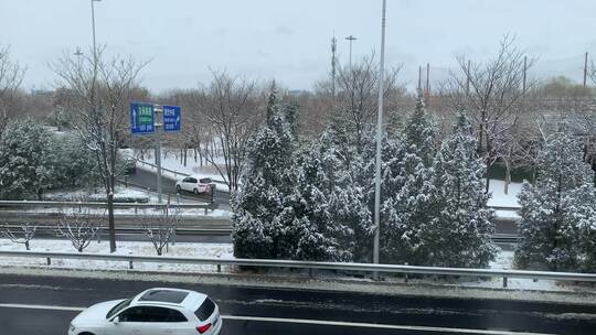 下雪道路交流车流随拍