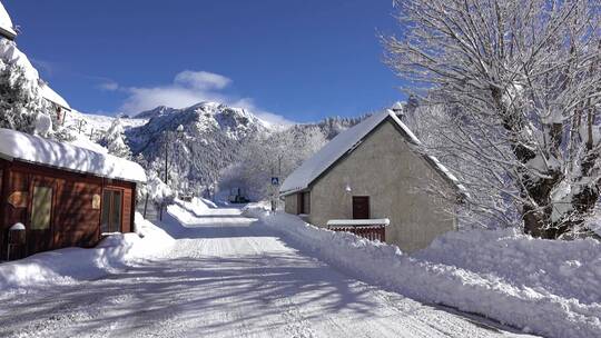 唯美大自然高山森林树林平原雪景特写