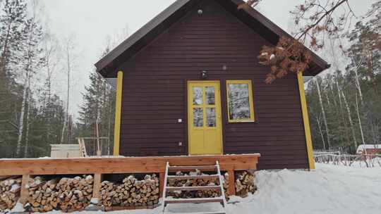 雪，森林，树木，木屋