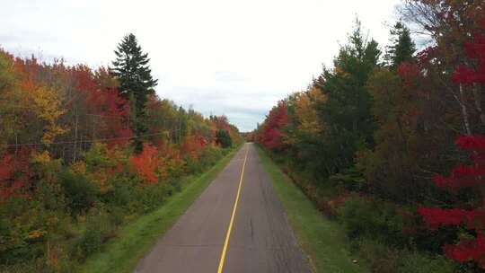 航拍加拿大秋天五颜六色的森林