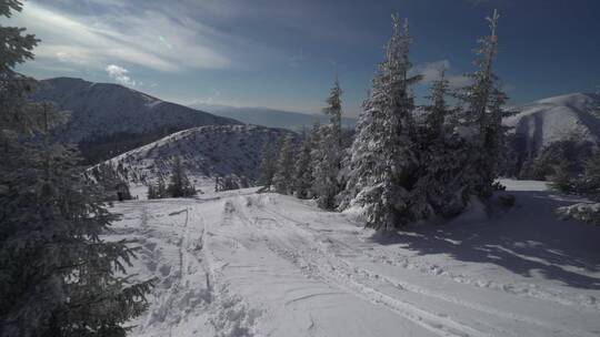 滑雪 双板 单板 雪上运动 极限运动