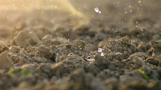 水滴落在土壤上微距景观