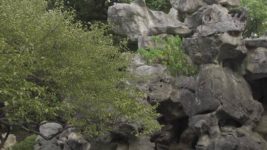 杭州江寺公园古典园林风景