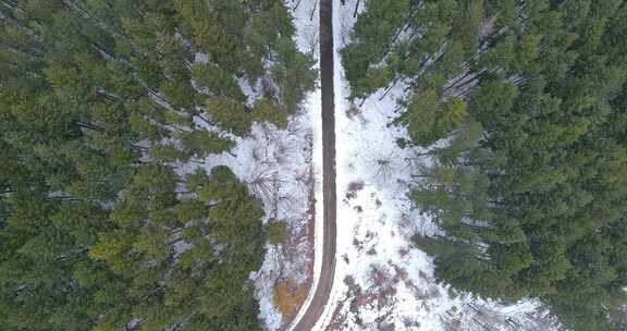 无人机拍摄有雪的森林