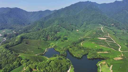 杭州龙坞茶园 光明寺水库