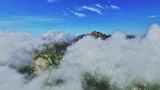 青岛小珠山