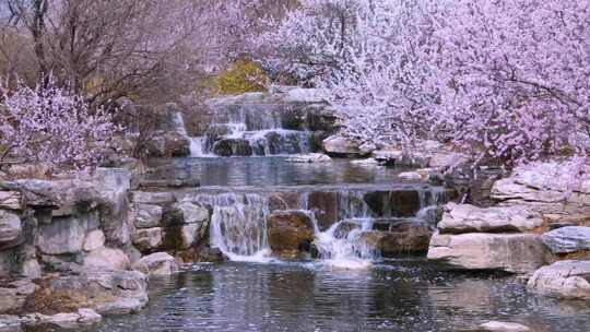 溪水桃花