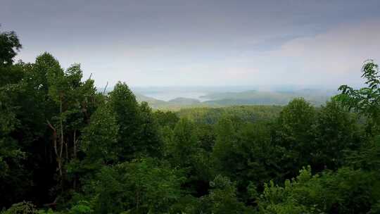 湖乔卡斯，森林，蓝岭山脉，风景