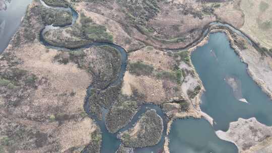 海拉尔河湿地自然风景视频素材模板下载