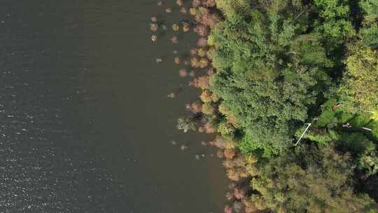 4K航拍深圳南山西丽水库生态环境