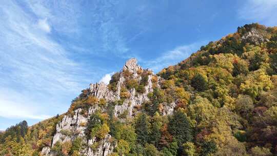 秋日山脉树林风景