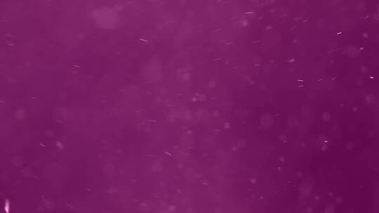 粉色粒子的动态视频
