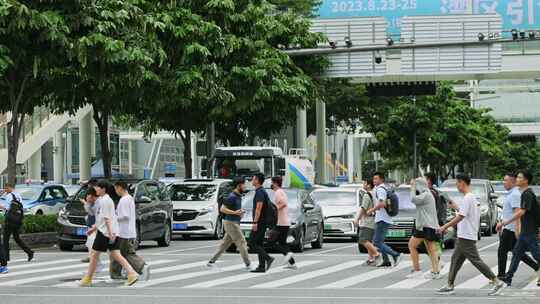 行人过马路视频素材模板下载