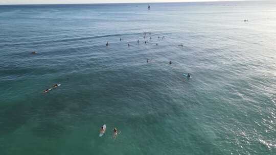 一望无际的大海上一群冲浪爱好者在海里冲浪视频素材模板下载