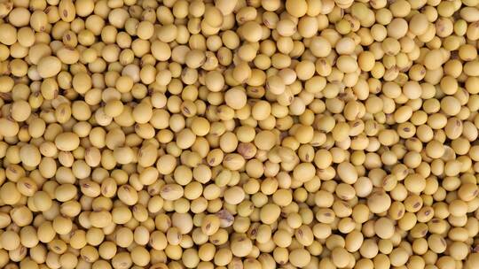 精品粮食素材原创黄豆