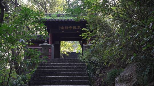 杭州玉皇山景区天龙寺