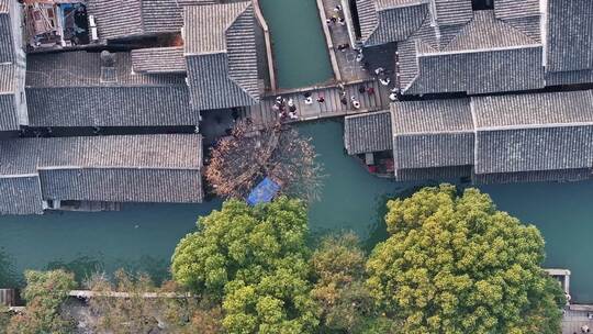 航拍江苏周庄古镇的水乡的乌篷船视频素材模板下载