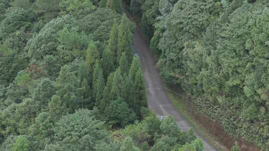 信宜大田顶日出航拍，高山云海，高山公路