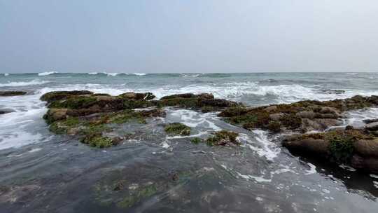 海岸线布满海藻和岩石