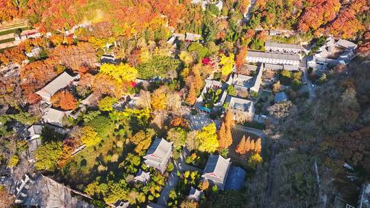 青岛崂山青岛秋景青岛太清宫航拍