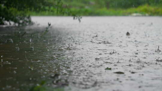 农村下雨滴慢镜头慢动作升格