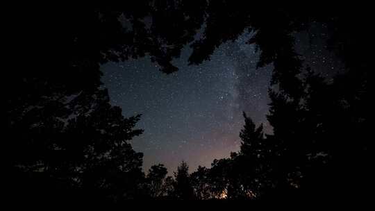 4K树木星空银河延时摄影