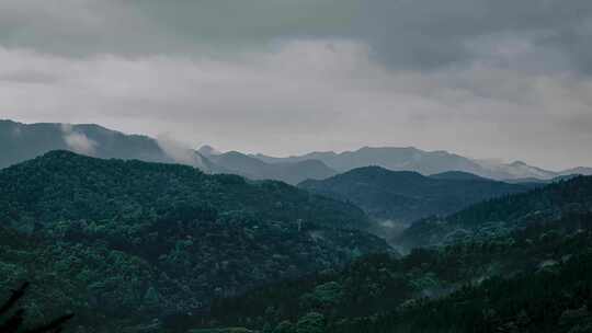 景德镇三宝林场延时1