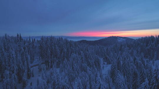 航拍无人机俯瞰日落白雪覆盖的森林树木和日出