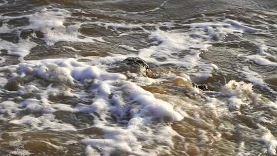 沙滩海水特写潮汐浪花拍打海岸海边涨潮退潮