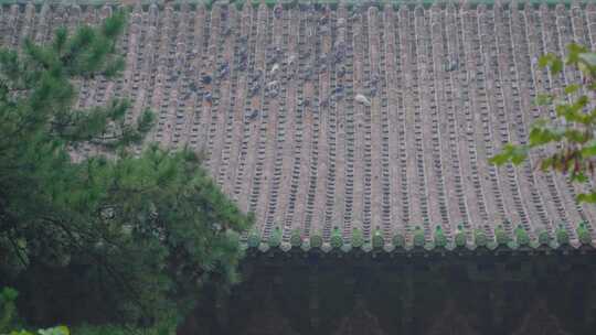 山西运城永乐宫，中式建筑结构，阴雨天氛围