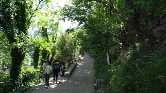 洛阳龙潭大峡谷旅游生态森林河流景点