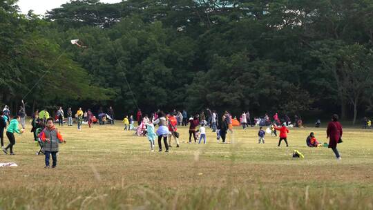 草地 周末 公园 游玩 踢球 儿童 足球视频素材模板下载