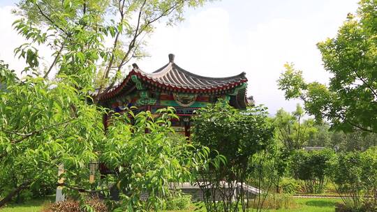 花园绿化 花草植物