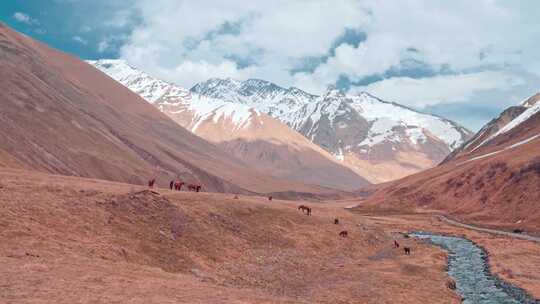 山，雪，白雪覆盖，丘陵