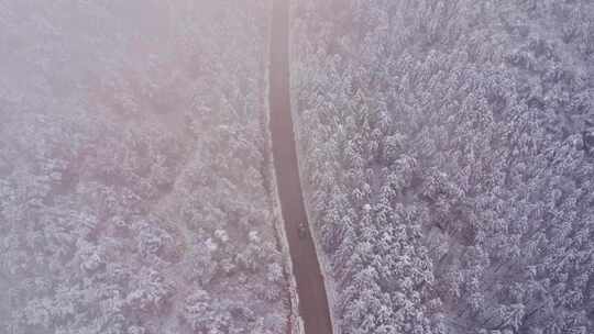 航拍雪林公路全景