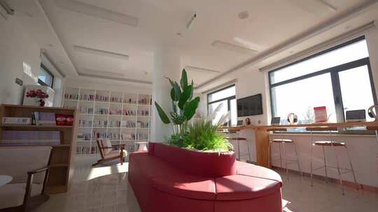 室内图书馆休闲阅读区域场景