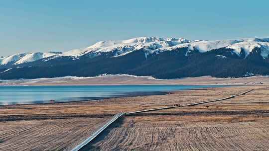 航拍雪山湖泊自然风景