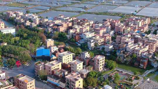 航拍佛山水乡顺德黄龙村