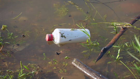 淡水污染河流污染-水里的垃圾