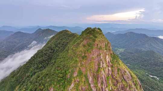 海南乐东县尖峰岭国家森林公园热带雨林