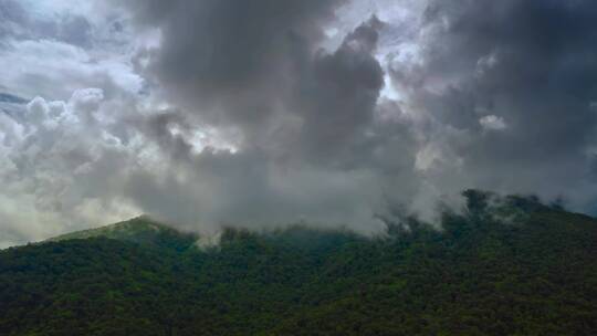 乌云密布水汽缭绕森林雾气自然风景