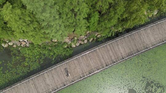 无锡蠡湖公园全景4K航拍视频素材模板下载