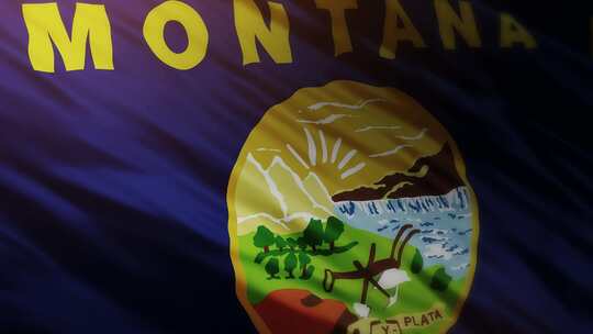 蒙大拿州国旗挥舞-4K