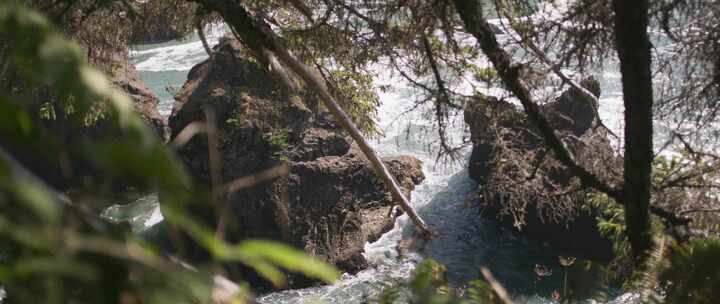 岩石，树枝，Pov，海洋