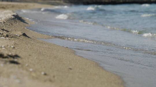 海边海鸥活动海浪拍打沙滩