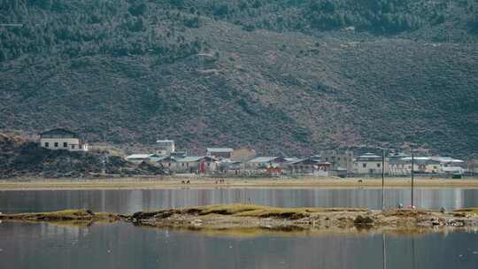 云南香格里拉纳帕海湖光山色藏族民居