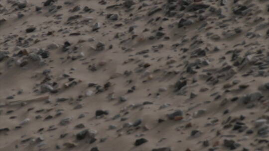 新疆 沙尘天气 嵌入沙子中的砾石滩特写